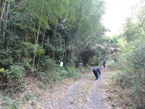 c0108460_14221374.jpg