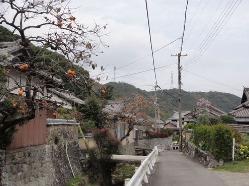 c0108460_1424055.jpg