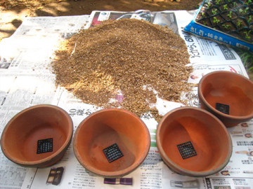f0169661_054540.jpg