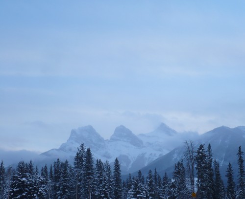 f0214562_11144899.jpg