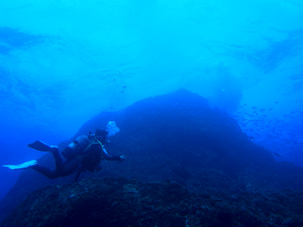 b0062363_361238.jpg