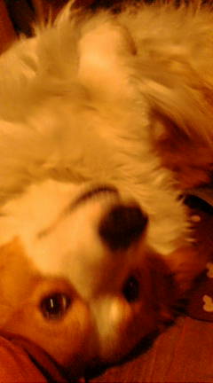 e0206464_0234041.jpg