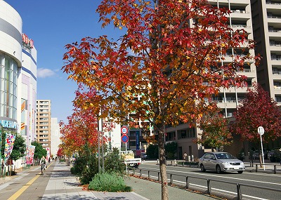 b0131167_14465222.jpg