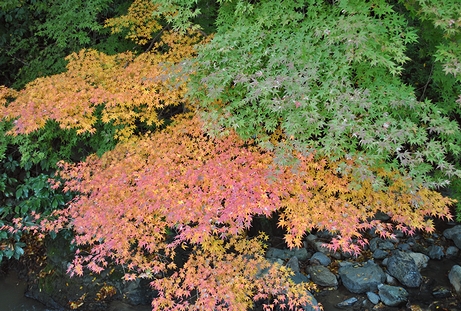 c0099967_2123595.jpg