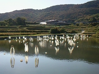 f0142668_738873.jpg