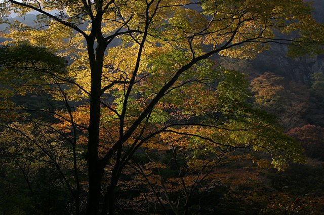 f0127675_454925.jpg
