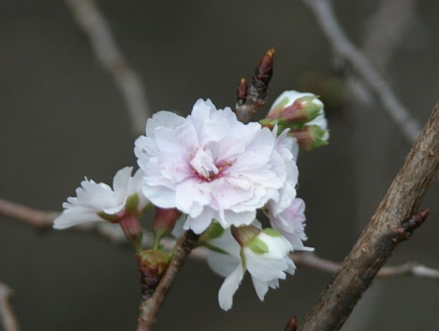 f0127675_481384.jpg