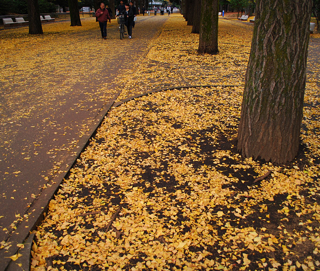 c0009981_3215539.jpg