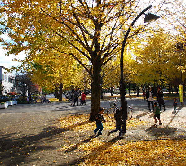 c0009981_32498.jpg