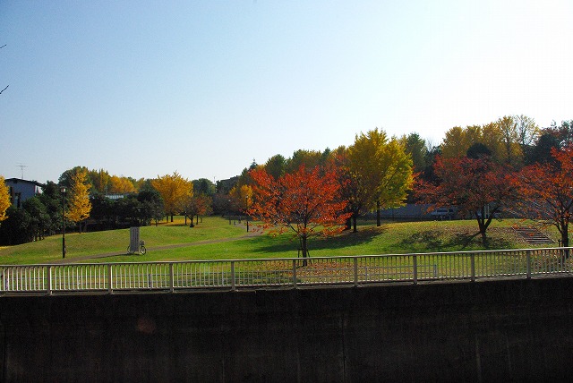 f0169884_2172021.jpg