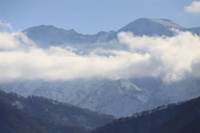 c0208389_13201234.jpg