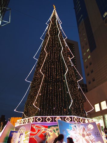 a0152391_20465666.jpg