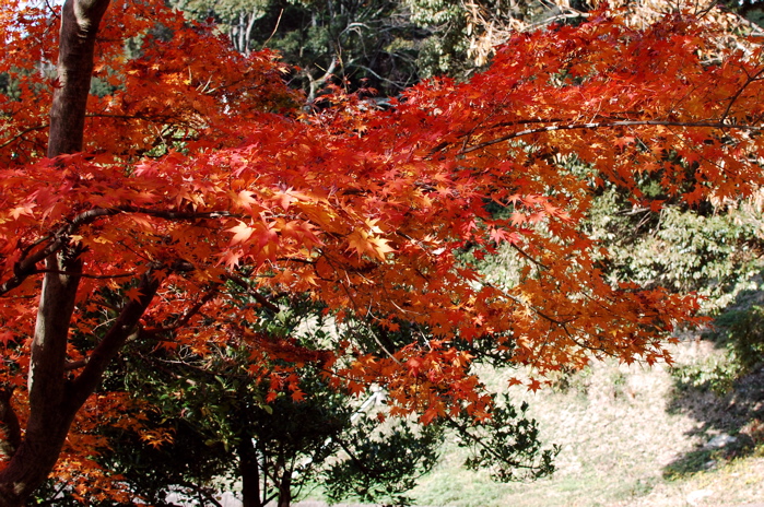 b0143293_1956726.jpg