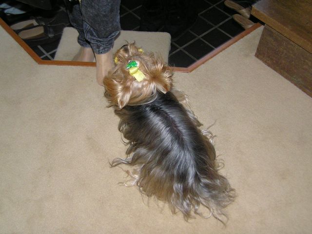 f0130894_2244615.jpg