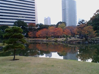 f0138995_19355153.jpg
