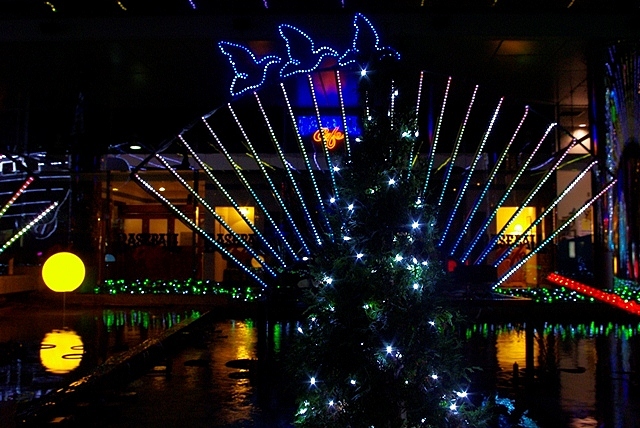 c0125596_22301687.jpg