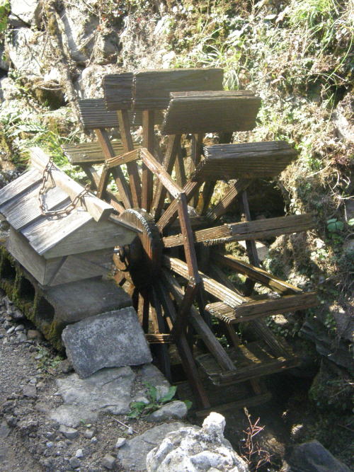 e0017396_817353.jpg