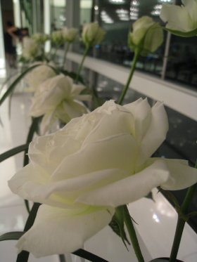 c0172698_22503890.jpg