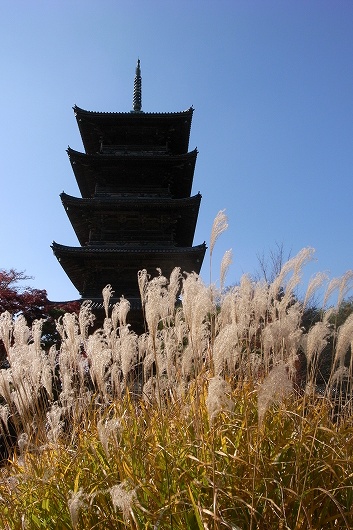 f0073398_7531564.jpg