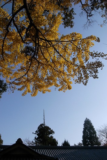 f0073398_754405.jpg