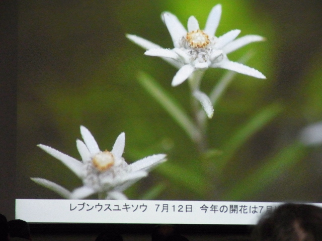 f0157901_1650954.jpg
