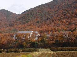 e0207503_20514872.jpg