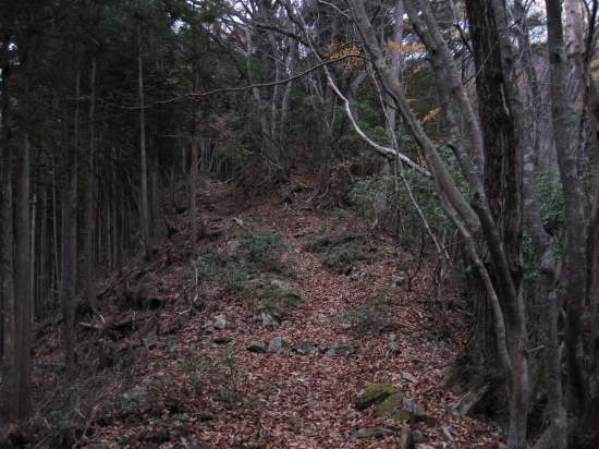 e0183804_0111851.jpg