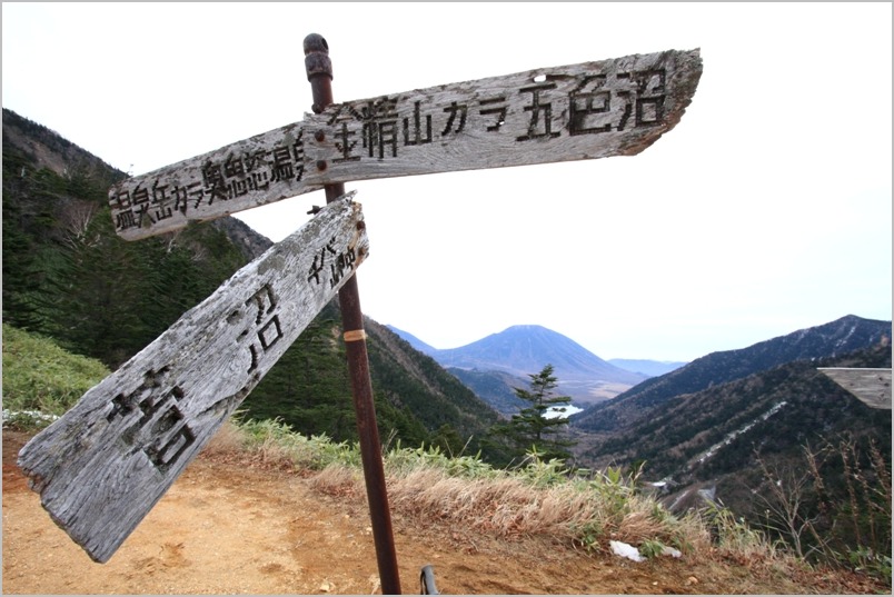 b0180907_22341324.jpg