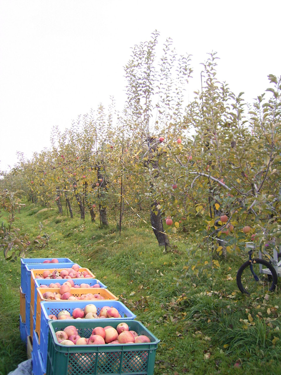 c0167408_21165871.jpg