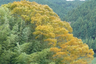 f0221708_1552536.jpg