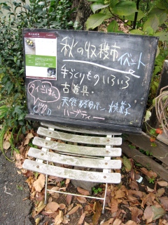 f0040310_23272939.jpg
