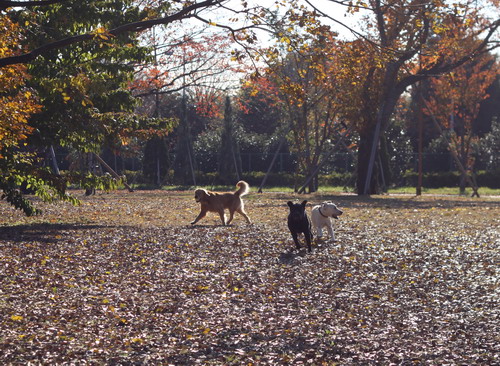 c0101713_2011225.jpg
