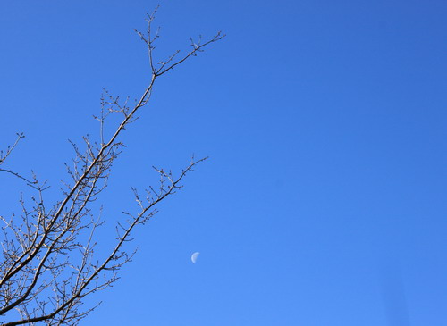 c0101713_2015511.jpg