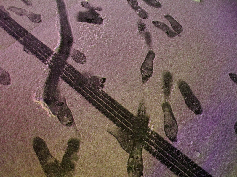 a0101715_8374754.jpg