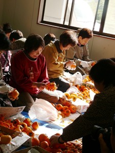 e0097615_17435595.jpg