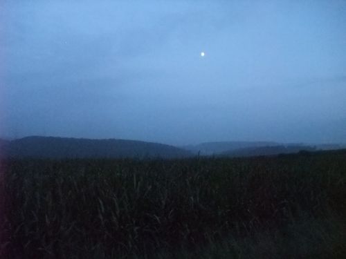 e0116315_21265781.jpg