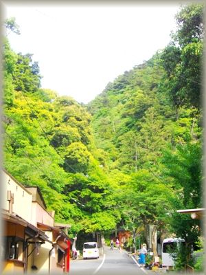 e0119017_3353288.jpg