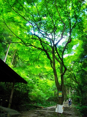 e0119017_415022.jpg