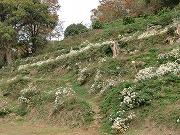 f0191517_1126744.jpg