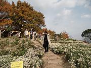f0191517_1127485.jpg