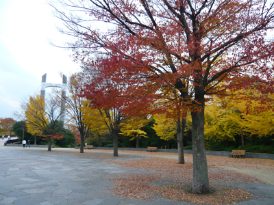b0019820_23255721.jpg