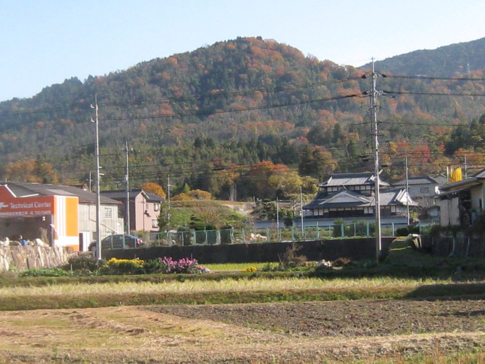 c0197220_749578.jpg
