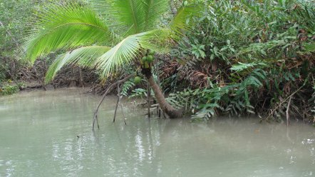 b0176023_10374375.jpg