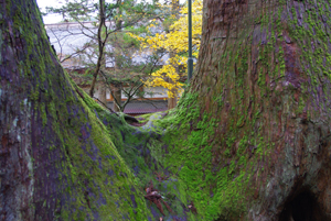 c0048023_20521152.jpg