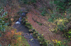 c0048023_2144541.jpg