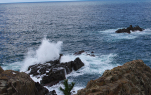 c0048023_214874.jpg
