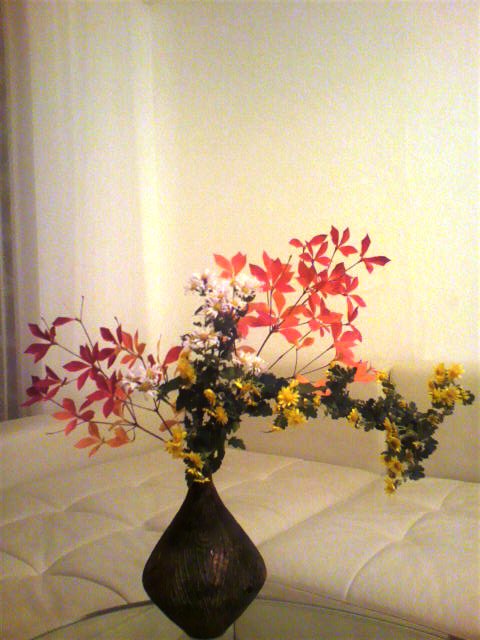 c0049825_12173288.jpg
