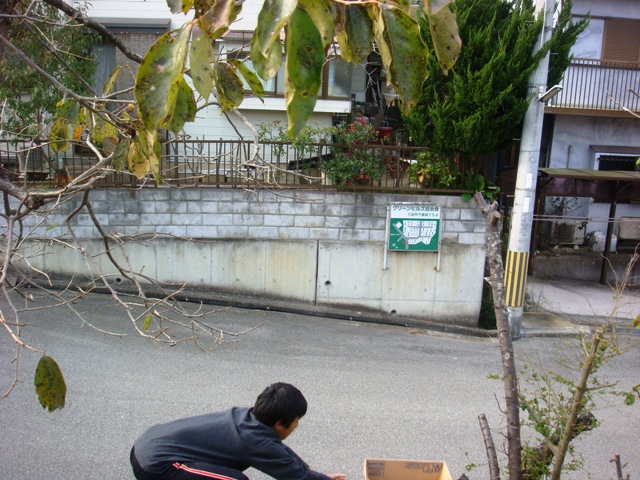 d0137326_14149.jpg