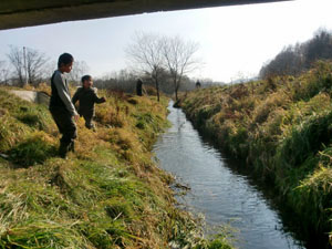 f0004331_8344441.jpg