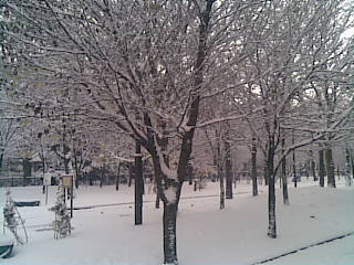 f0226632_101442.jpg